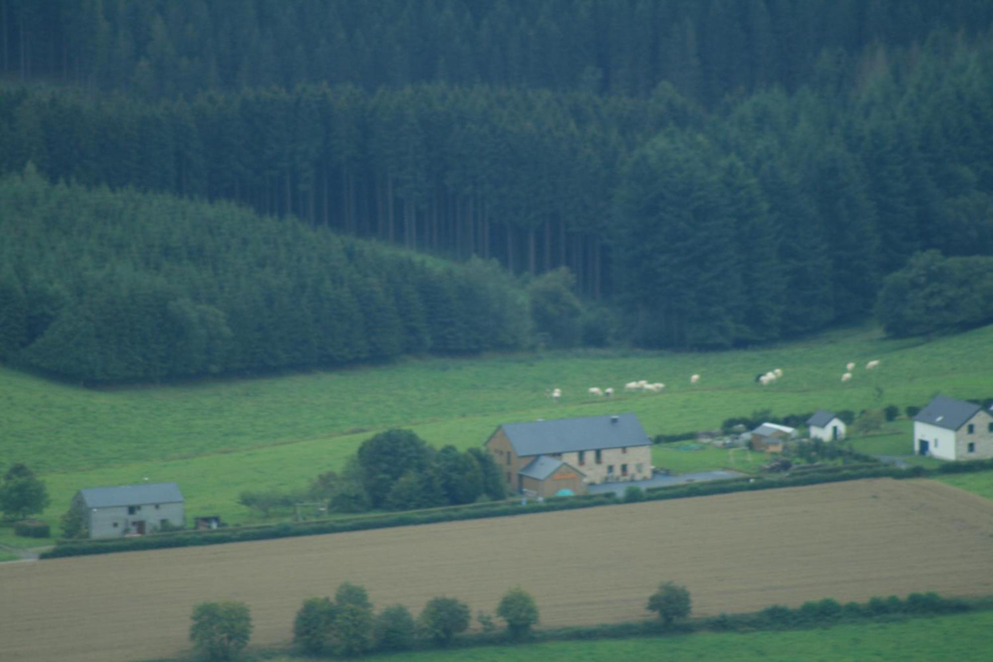 טנוויל Chambres D'Hotes Les Trappeurs Silence & Nature מראה חיצוני תמונה