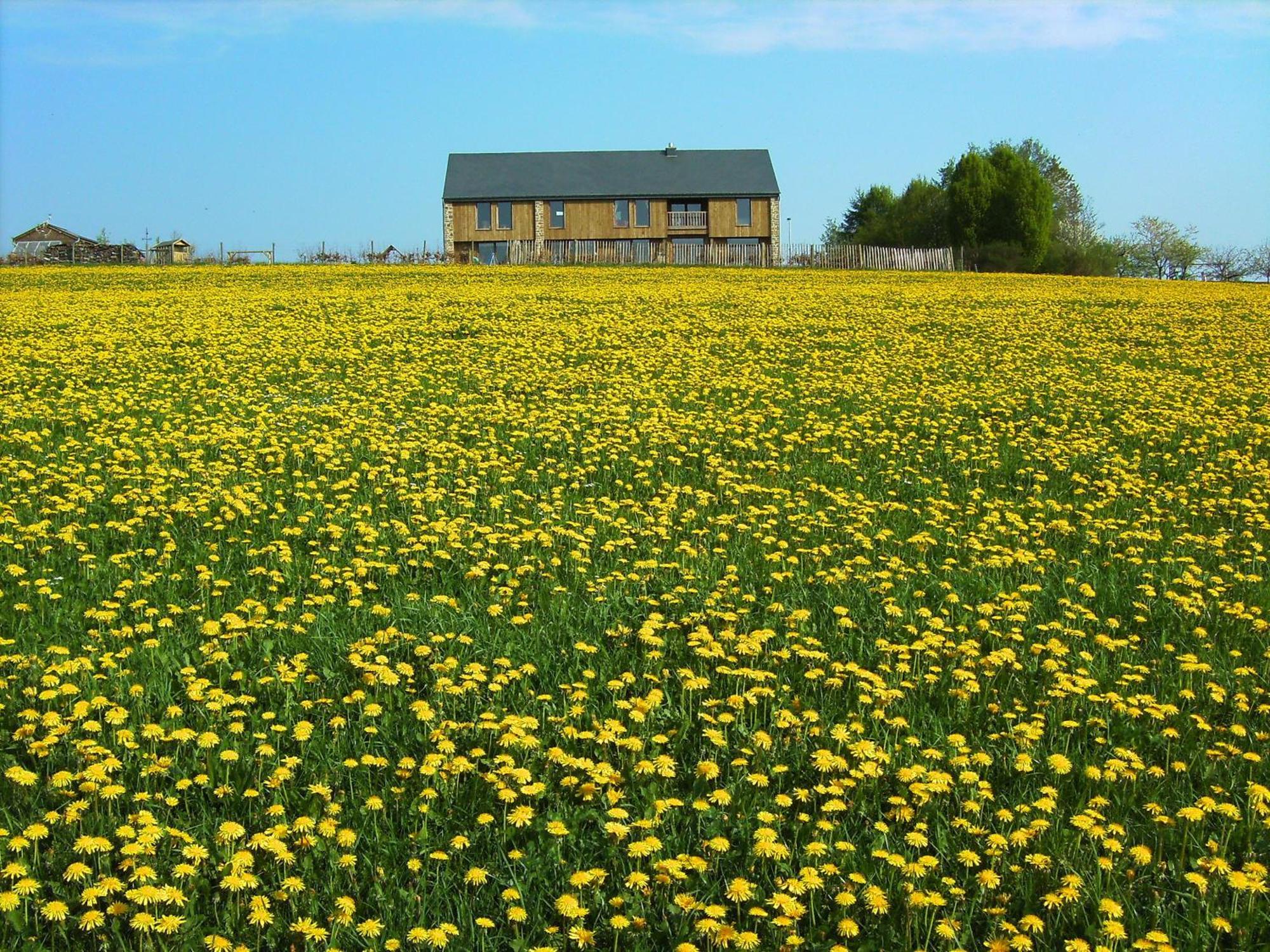 טנוויל Chambres D'Hotes Les Trappeurs Silence & Nature מראה חיצוני תמונה